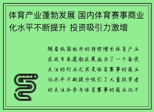 体育产业蓬勃发展 国内体育赛事商业化水平不断提升 投资吸引力激增